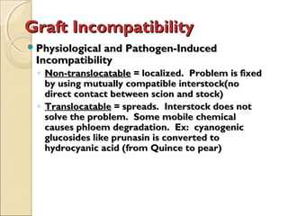 Graft Incompatibility
Physiological and Pathogen-Induced
 Incompatibility
 ◦ Non-translocatable = localized. Problem is fixed
   by using mutually compatible interstock(no
   direct contact between scion and stock)
 ◦ Translocatable = spreads. Interstock does not
   solve the problem. Some mobile chemical
   causes phloem degradation. Ex: cyanogenic
   glucosides like prunasin is converted to
   hydrocyanic acid (from Quince to pear)
 