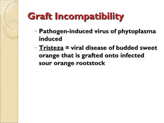 Graft Incompatibility
 ◦ Pathogen-induced virus of phytoplasma
   induced
 ◦ Tristeza = viral disease of budded sweet
   orange that is grafted onto infected
   sour orange rootstock
 