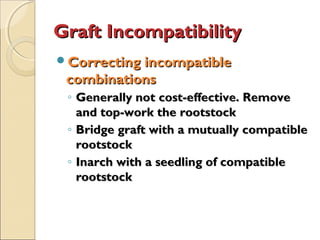 Graft Incompatibility
Correcting incompatible
 combinations
 ◦ Generally not cost-effective. Remove
   and top-work the rootstock
 ◦ Bridge graft with a mutually compatible
   rootstock
 ◦ Inarch with a seedling of compatible
   rootstock
 