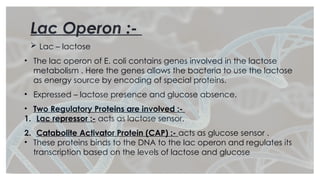 Comprehensive Overview of Gene Regulation: Lac and Trp Operons in ...