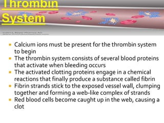  Calcium ions must be present for the thrombin system
to begin
 The thrombin system consists of several blood proteins
that activate when bleeding occurs
 The activated clotting proteins engage in a chemical
reactions that finally produce a substance called fibrin
 Fibrin strands stick to the exposed vessel wall, clumping
together and forming a web-like complex of strands
 Red blood cells become caught up in the web, causing a
clot
 