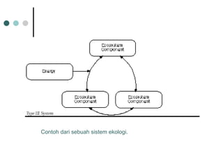 Contoh dari sebuah sistem ekologi. 