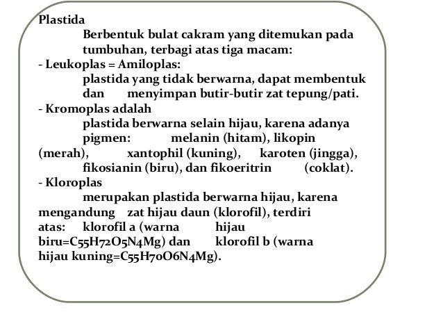 770 Gambar Sel Hewan Dan Tumbuhan Hitam Putih HD Terbaik