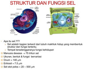 • Apa itu sel.???
 Sel adalah bagian terkecil dari tubuh makhluk hidup yang membentuk
struktur dan fungsi tertentu.
 Tempat terselenggaranya fungsi kehidupan
 Manusia dewasa  75 triliun sel
 Ukuran, bentuk & fungsi bervariasi
 Ovum  140 m
 Eritrosit  7.5 m
 Sel otot polos  20 – 500 m
 