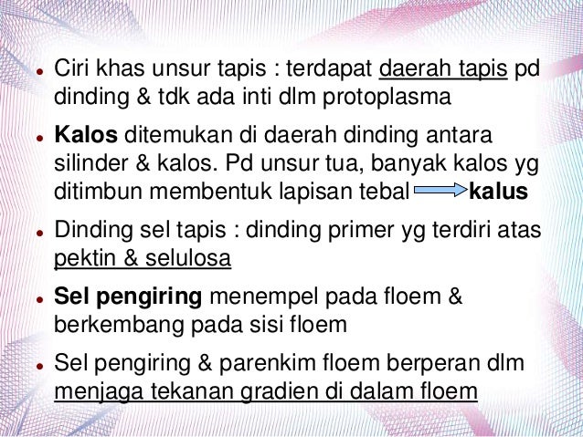 Sel Yang Hidup Memiliki Dinding Primer Dengan Lubang Kecil