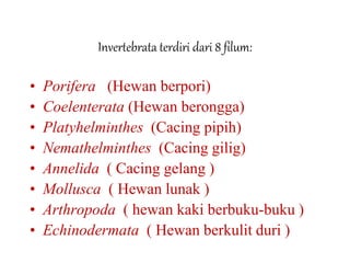 Invertebrata terdiri dari 8 filum:
• Porifera (Hewan berpori)
• Coelenterata (Hewan berongga)
• Platyhelminthes (Cacing pipih)
• Nemathelminthes (Cacing gilig)
• Annelida ( Cacing gelang )
• Mollusca ( Hewan lunak )
• Arthropoda ( hewan kaki berbuku-buku )
• Echinodermata ( Hewan berkulit duri )
 