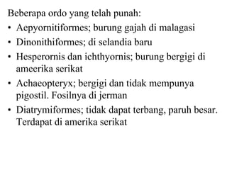Beberapa ordo yang telah punah:
• Aepyornitiformes; burung gajah di malagasi
• Dinonithiformes; di selandia baru
• Hesperornis dan ichthyornis; burung bergigi di
ameerika serikat
• Achaeopteryx; bergigi dan tidak mempunya
pigostil. Fosilnya di jerman
• Diatrymiformes; tidak dapat terbang, paruh besar.
Terdapat di amerika serikat
 