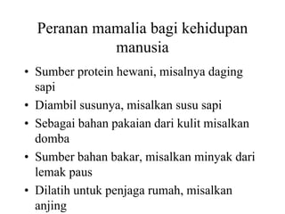 Peranan mamalia bagi kehidupan
manusia
• Sumber protein hewani, misalnya daging
sapi
• Diambil susunya, misalkan susu sapi
• Sebagai bahan pakaian dari kulit misalkan
domba
• Sumber bahan bakar, misalkan minyak dari
lemak paus
• Dilatih untuk penjaga rumah, misalkan
anjing
 