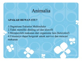 Animalia
APAKAH HEWAN ITU?
1.Organisme Eukariot Multiseluler
2.Tidak memiliki dinding sel dan klorofil
3.Memperoleh makanan dari organisme lain (heterotrof)
4.Umumnya dapat bergerak untuk survive dan mencari
makanan
 