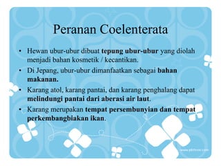 Peranan Coelenterata
• Hewan ubur-ubur dibuat tepung ubur-ubur yang diolah
menjadi bahan kosmetik / kecantikan.
• Di Jepang, ubur-ubur dimanfaatkan sebagai bahan
makanan.
• Karang atol, karang pantai, dan karang penghalang dapat
melindungi pantai dari aberasi air laut.
• Karang merupakan tempat persembunyian dan tempat
perkembangbiakan ikan.
 