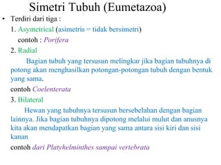 Simetri Tubuh (Eumetazoa)
• Terdiri dari tiga :
1. Asymetrical (asimetris = tidak bersimetri)
contoh : Porifera
2. Radial
Bagian tubuh yang tersusun melingkar jika bagian tubuhnya di
potong akan menghasilkan potongan-potongan tubuh dengan bentuk
yang sama.
contoh Coelenterata
3. Bilateral
Hewan yang tubuhnya tersusun bersebelahan dengan bagian
lainnya. Jika bagian tubuhnya dipotong melalui mulut dan anusnya
kita akan mendapatkan bagian yang sama antara sisi kiri dan sisi
kanan
contoh dari Platyhelminthes sampai vertebrata
 