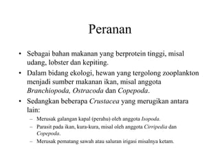 Peranan
• Sebagai bahan makanan yang berprotein tinggi, misal
udang, lobster dan kepiting.
• Dalam bidang ekologi, hewan yang tergolong zooplankton
menjadi sumber makanan ikan, misal anggota
Branchiopoda, Ostracoda dan Copepoda.
• Sedangkan beberapa Crustacea yang merugikan antara
lain:
– Merusak galangan kapal (perahu) oleh anggota Isopoda.
– Parasit pada ikan, kura-kura, misal oleh anggota Cirripedia dan
Copepoda.
– Merusak pematang sawah atau saluran irigasi misalnya ketam.
 