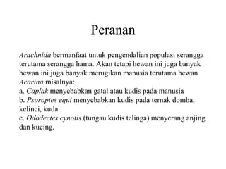 Peranan
Arachnida bermanfaat untuk pengendalian populasi serangga
terutama serangga hama. Akan tetapi hewan ini juga banyak
hewan ini juga banyak merugikan manusia terutama hewan
Acarina misalnya:
a. Caplak menyebabkan gatal atau kudis pada manusia
b. Psoroptes equi menyebabkan kudis pada ternak domba,
kelinci, kuda.
c. Ododectes cynotis (tungau kudis telinga) menyerang anjing
dan kucing.
 