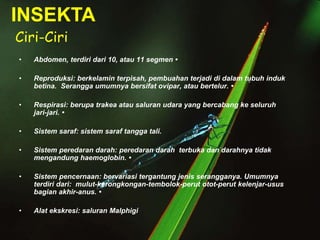 • Abdomen, terdiri dari 10, atau 11 segmen •
• Reproduksi: berkelamin terpisah, pembuahan terjadi di dalam tubuh induk
betina. Serangga umumnya bersifat ovipar, atau bertelur. •
• Respirasi: berupa trakea atau saluran udara yang bercabang ke seluruh
jari-jari. •
• Sistem saraf: sistem saraf tangga tali.
• Sistem peredaran darah: peredaran darah terbuka dan darahnya tidak
mengandung haemoglobin. •
• Sistem pencernaan: bervariasi tergantung jenis serangganya. Umumnya
terdiri dari: mulut-kerongkongan-tembolok-perut otot-perut kelenjar-usus
bagian akhir-anus. •
• Alat ekskresi: saluran Malphigi
INSEKTA
Ciri-Ciri
 