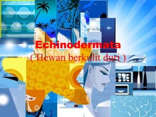 Echinodermata
( Hewan berkulit duri )
 
