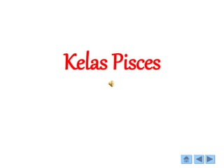 Kelas Pisces
 