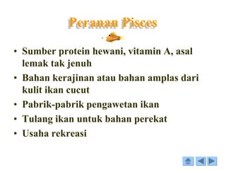 Peranan Pisces
• Sumber protein hewani, vitamin A, asal
lemak tak jenuh
• Bahan kerajinan atau bahan amplas dari
kulit ikan cucut
• Pabrik-pabrik pengawetan ikan
• Tulang ikan untuk bahan perekat
• Usaha rekreasi
 