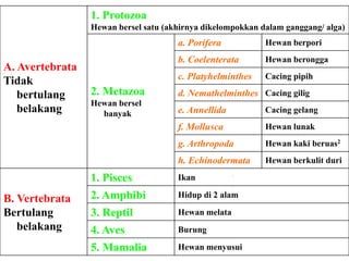 A. Avertebrata
Tidak
bertulang
belakang
1. Protozoa
Hewan bersel satu (akhirnya dikelompokkan dalam ganggang/ alga)
2. Metazoa
Hewan bersel
banyak
a. Porifera Hewan berpori
b. Coelenterata Hewan berongga
c. Platyhelminthes Cacing pipih
d. Nemathelminthes Cacing gilig
e. Annellida Cacing gelang
f. Mollusca Hewan lunak
g. Arthropoda Hewan kaki beruas2
h. Echinodermata Hewan berkulit duri
B. Vertebrata
Bertulang
belakang
1. Pisces Ikan
2. Amphibi Hidup di 2 alam
3. Reptil Hewan melata
4. Aves Burung
5. Mamalia Hewan menyusui
 