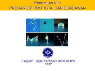 1
Program Tingkat Persiapan Bersama IPB
2012
Pertemuan VIII:
PROKARIOT, PROTISTA, DAN CENDAWAN
 