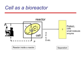 Cell as a bioreactor
Product :
cells
small molecule
enzyme
A
P
C
D etc.
?
Reactor inside a reactor Separation
reactor
A
P
cell
B
C
D
E P
A
 