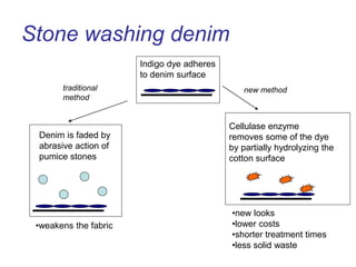 Stone washing denim
Denim is faded by
abrasive action of
pumice stones
Indigo dye adheres
to denim surface
Cellulase enzyme
removes some of the dye
by partially hydrolyzing the
cotton surface
•new looks
•lower costs
•shorter treatment times
•less solid waste
•weakens the fabric
traditional
method
new method
 
