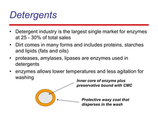 Detergents
• Detergent industry is the largest single market for enzymes
at 25 - 30% of total sales
• Dirt comes in many forms and includes proteins, starches
and lipids (fats and oils)
• proteases, amylases, lipases are enzymes used in
detergents
• enzymes allows lower temperatures and less agitation for
washing
Inner core of enzyme plus
preservative bound with CMC
Protective waxy coat that
disperses in the wash
 