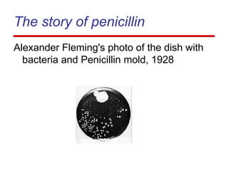 The story of penicillin
Alexander Fleming's photo of the dish with
bacteria and Penicillin mold, 1928
 