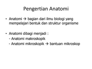 Pengertian Anatomi
• Anatomi  bagian dari ilmu biologi yang
mempelajari bentuk dan struktur organisme
• Anatomi dibagi menjadi :
- Anatomi makroskopik
- Anatomi mikroskopik  bantuan mikroskop
 