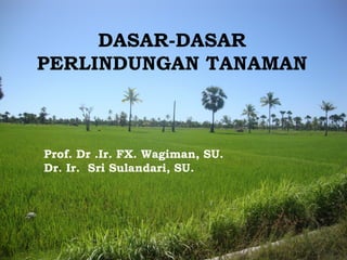 DASAR-DASAR
PERLINDUNGAN TANAMAN
Prof. Dr .Ir. FX. Wagiman, SU.
Dr. Ir. Sri Sulandari, SU.
 