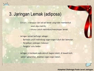 Adaptasi Olahraga Pada Level Jaringan
 