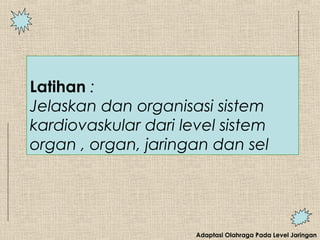 Adaptasi Olahraga Pada Level Jaringan
Latihan :
Jelaskan dan organisasi sistem
kardiovaskular dari level sistem
organ , organ, jaringan dan sel
 