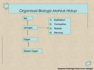 Adaptasi Olahraga Pada Level Jaringan
Organisasi Biologis Mahluk Hidup
1) Epithelium
2) Connective
3) Muscle
4) Nervous
Sel
Jaringan
Organ
Sistem Organ
 