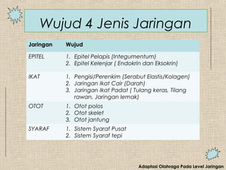 Adaptasi Olahraga Pada Level Jaringan
Wujud 4 Jenis Jaringan
Jaringan Wujud
EPITEL 1. Epitel Pelapis (Integumentum)
2. Epitel Kelenjar ( Endokrin dan Eksokrin)
IKAT 1. Pengisi/Perenkim (Serabut Elastis/Kolagen)
2. Jaringan Ikat Cair (Darah)
3. Jaringan Ikat Padat ( Tulang keras, Tilang
rawan, Jaringan lemak)
OTOT 1. Otot polos
2. Otot skelet
3. Otot jantung
SYARAF 1. Sistem Syaraf Pusat
2. Sistem Syaraf tepi
 
