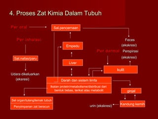 4. Proses Zat Kimia Dalam Tubuh4. Proses Zat Kimia Dalam Tubuh
Per oralPer oral
Per inhalasiPer inhalasi FecesFeces
(ekskresi)(ekskresi)
Per dermalPer dermal PerspirasiPerspirasi
(ekskresi)(ekskresi)
Udara dikeluarkanUdara dikeluarkan
(eksresi)(eksresi)
urin (ekskresi)urin (ekskresi)
Sal.pencernaan
Sal.nafas/paru
Empedu
Liver
Darah dan sistem limfa
kulit
ginjal
Kandung kemih
Ikatan protein/metabolisme/distribusi dari
bentuk bebas, terikat atau metabolit
Sel organ/tulang/lemak tubuh
Penyimpanan zat beracun
 
