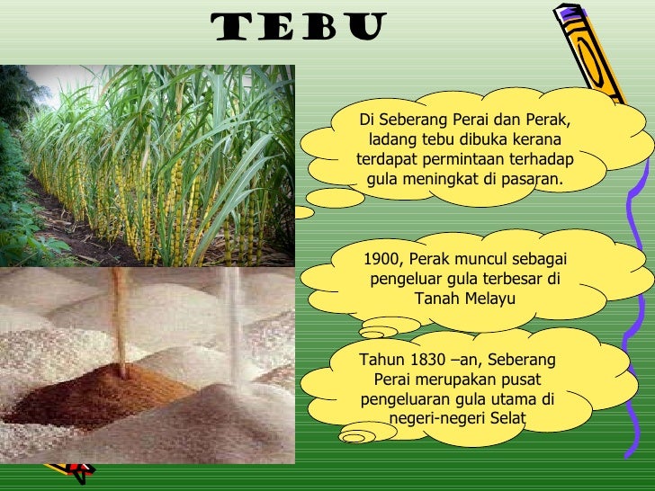Buku Bab 6 Pdf