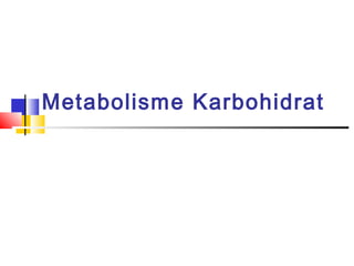 Metabolisme Karbohidrat
 