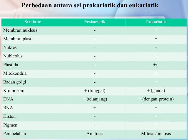 Apa Perbedaan Sel Prokariotik Dan Sel Eukariotik Apa Perbedaan Antara Sel Prokariotik Dan Sel Eukariotik - Terkait Perbedaan