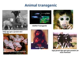 KULIAH 2 REKAYASA GENETIKA BIOTEKNOLOGI FPK UA.ppt