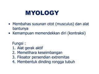 MYOLOGY
• Membahas susunan otot (musculus) dan alat
bantunya
• Kemampuan memendekkan diri (kontraksi)
Fungsi :
1. Alat gerak aktif
2. Memelihara keseimbangan
3. Fiksator persendian extremitas
4. Membentuk dinding rongga tubuh
 