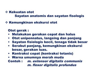 Klasifikasi fungsional otot
 Kekuatan otot
Sayatan anatomis dan sayatan fisologis
 Kemungkinan ekskursi otot
Otot gerak :
• Melakukan gerakan cepat dan halus
• Otot unipennatus, langsing dan panjang
• Sayatan fisiologis kecil, tenaga tidak besar
• Serabut panjang, kemungkinan ekskursi
besar, gerakan luas.
• Kontraksi cepat (kontraksi tetanis)
• Warna umumnya merah muda
Contoh : m. extensor digitalis communis
m. flexor digitalis profundus
 