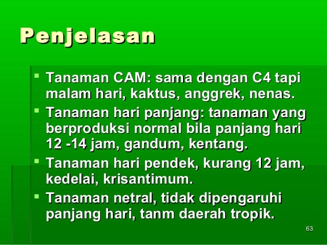 Kuliah 3 dda materi 2