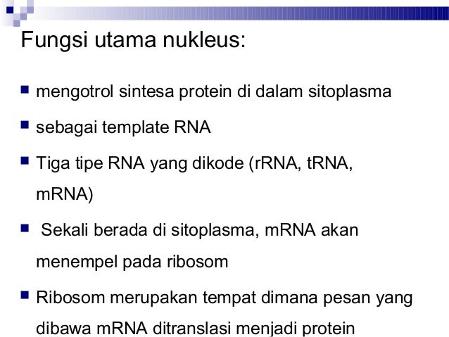Unduh 98 Koleksi Gambar Fungsi Nukleus Terbaik 