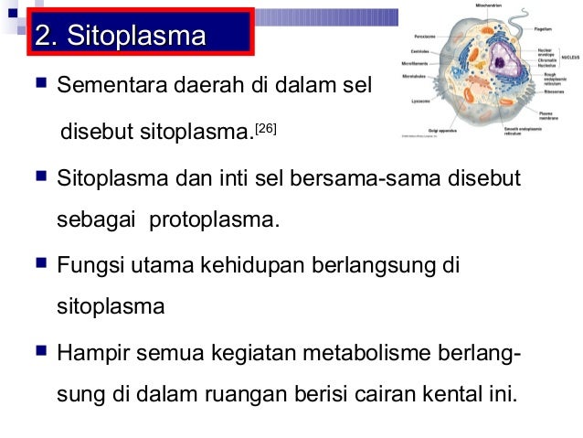 Kuliah 3 Struktur Dan Fungsi Sel