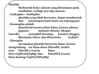 Plastida
Berbentuk bulat cakram yang ditemukan pada
tumbuhan, terbagi atas tiga macam:
- Leukoplas = Amiloplas:
plastida yang tidak berwarna, dapat membentuk
dan menyimpan butir-butir zat tepung/pati.
- Kromoplas adalah
plastida berwarna selain hijau, karena adanya
pigmen: melanin (hitam), likopin
(merah), xantophil (kuning), karoten (jingga),
fikosianin (biru), dan fikoeritrin (coklat).
- Kloroplas
merupakan plastida berwarna hijau, karena
mengandung zat hijau daun (klorofil), terdiri
atas: klorofil a (warna hijau
biru=C55H72O5N4Mg) dan klorofil b (warna
hijau kuning=C55H70O6N4Mg).
 