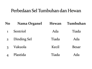 No Nama Organel Hewan Tumbuhan
1 Sentriol Ada Tiada
2 Dinding Sel Tiada Ada
3 Vakuola Kecil Besar
4 Plastida Tiada Ada
 