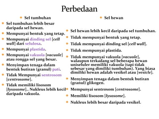  Sel tumbuhan
 Sel tumbuhan lebih besar
daripada sel hewan.
 Mempunyai bentuk yang tetap.
 Mempunyai dinding sel [cell
wall] dari selulosa.
 Mempunyai plastida.
 Mempunyai vakuola [vacuole]
atau rongga sel yang besar.
 Menyimpan tenaga dalam
bentuk butiran (granul) pati.
 Tidak Mempunyai sentrosom
[centrosome].
 Tidak memiliki lisosom
[lysosome].. Nukleus lebih kecil
daripada vakuola.
 Sel hewan
 Sel hewan lebih kecil daripada sel tumbuhan.
 Tidak mempunyai bentuk yang tetap.
 Tidak mempunyai dinding sel [cell wall].
 Tidak mempunyai plastida.
 Tidak mempunyai vakuola [vacuole],
walaupun terkadang sel beberapa hewan
uniseluler memiliki vakuola (tapi tidak
sebesar yang dimiliki tumbuhan). Yang biasa
dimiliki hewan adalah vesikel atau [vesicle].
 Menyimpan tenaga dalam bentuk butiran
(granul) glikogen.
 Mempunyai sentrosom [centrosome].
 Memiliki lisosom [lysosome].
 Nukleus lebih besar daripada vesikel.
 