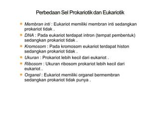  Membran inti : Eukariot memiliki membran inti sedangkan
prokariot tidak .
 DNA : Pada eukariot terdapat intron (tempat pembentuk)
sedangkan prokariot tidak .
 Kromosom : Pada kromosom eukariot terdapat histon
sedangkan prokariot tidak .
 Ukuran : Prokariot lebih kecil dari eukariot .
 Ribosom : Ukuran ribosom prokariot lebih kecil dari
eukariot .
 Organel : Eukariot memiliki organel bermembran
sedangkan prokariot tidak punya .
 