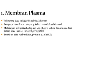  Pelindung bagi sel agar isi sel tidak keluar
 Pengatur pertukaran zat yang keluar masuk ke dalam sel
 Melakukan seleksi terhadap zat yang boleh keluar dan masuk dari
dalam atau luar sel (selektif permeable)
 Tersusun atas Karbohidrat, protein, dan lemak
 
