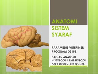 ANATOMI
SISTEM
SYARAF
PARAMEDIS VETERINER
PROGRAM D3 IPB
BAGIAN ANATOMI
HISTOLOGI & EMBRIOLOGI
DEPARTEMEN AFF FKH-IPB
 