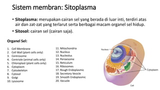 Biologi Farmasi, materi tentang sel, sel hewan sel tumbuhan | PDF